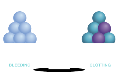 A balanced scale of anticoagulants and procoagulants, representing hemostatic balance